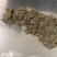 艾草种子药材种子四季播种驱蚊
