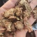 甘肃产地直发，丹参片，价格便宜，量大从优