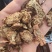 甘肃产地直发，丹参片，价格便宜，量大从优