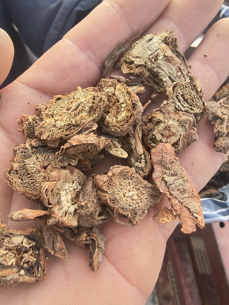 甘肃产地直发，丹参片，价格便宜，量大从优
