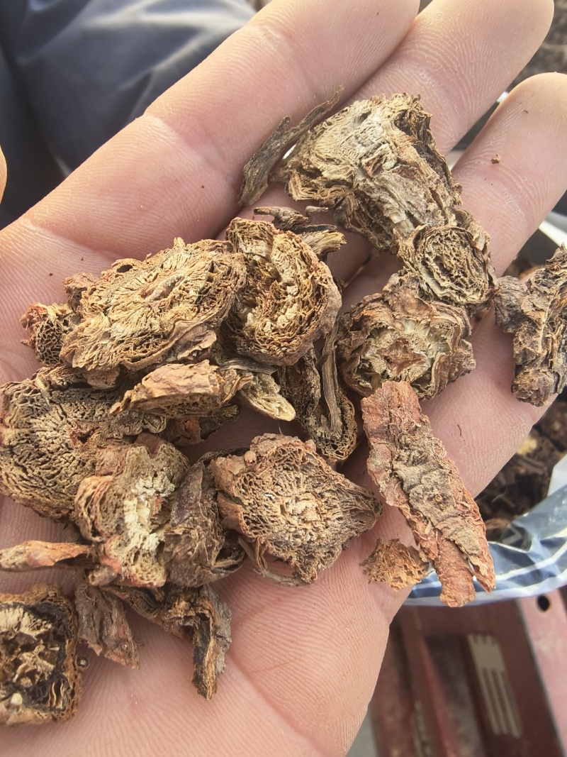 甘肃产地直发，丹参片，价格便宜，量大从优