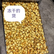 冻干金桔片