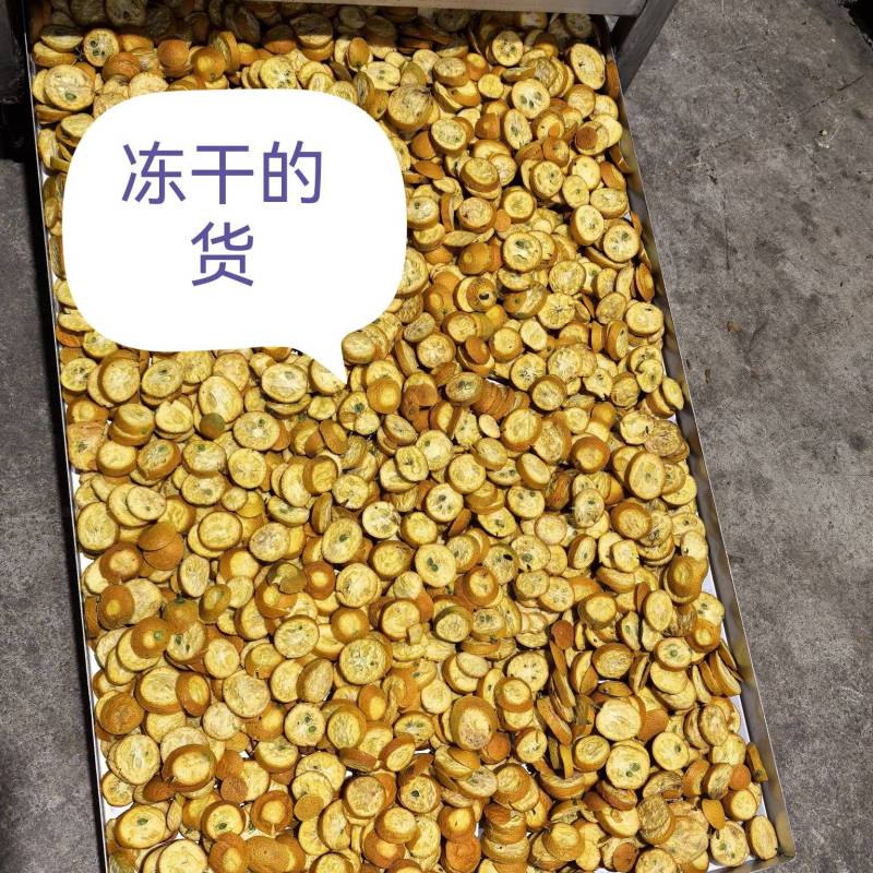 冻干金桔片