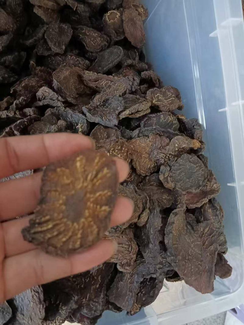 肉苁蓉中药材阿拉善正品管花软质肉苁蓉硬质泡酒料切