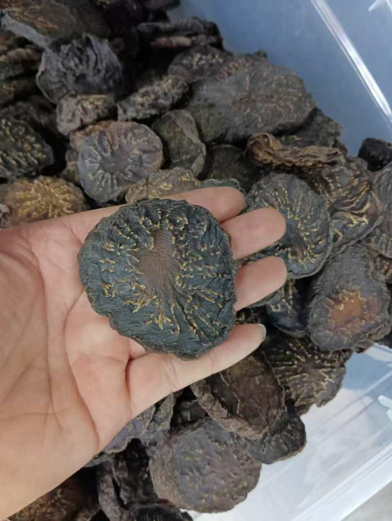 肉苁蓉中药材阿拉善正品管花软质肉苁蓉硬质泡酒料切