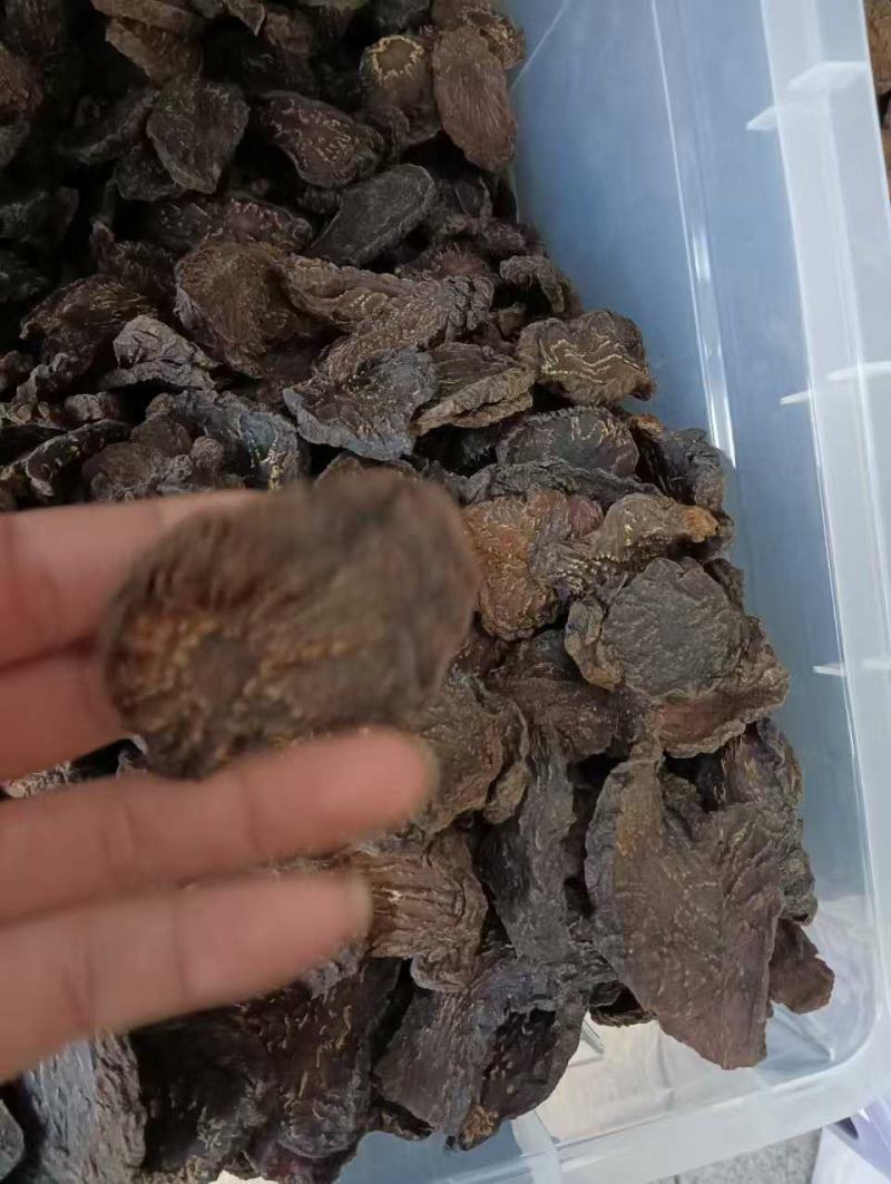 肉苁蓉中药材阿拉善正品管花软质肉苁蓉硬质泡酒料切