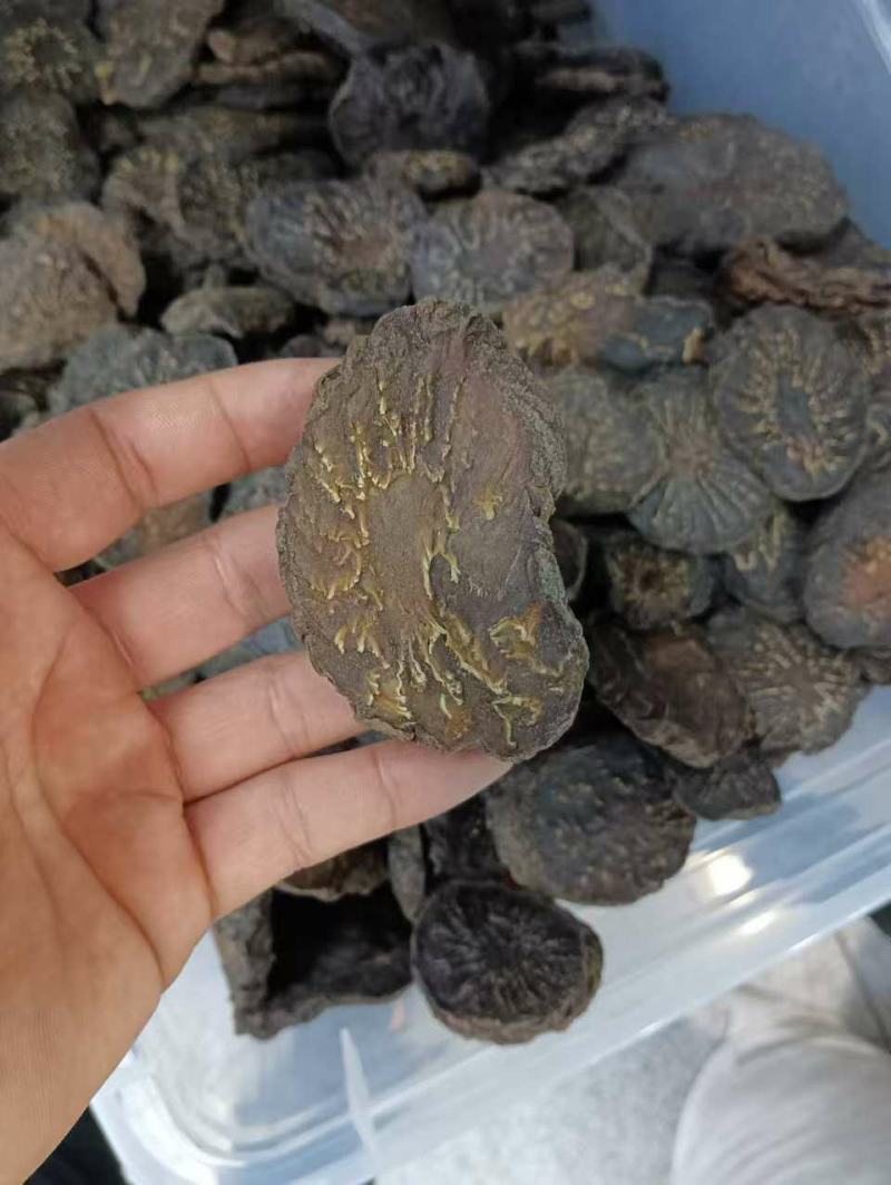 肉苁蓉中药材阿拉善正品管花软质肉苁蓉硬质泡酒料切
