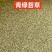 青绿苔草种子草坪种子四季多年生