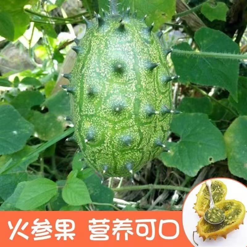 热带水果刺角瓜火星果儿童老人低糖应季水果