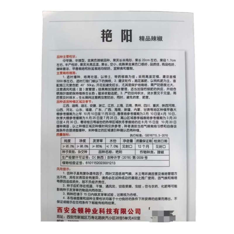 艳阳中早熟金黄色辣椒种子果实长羊角型果实光亮顺直辣味香浓
