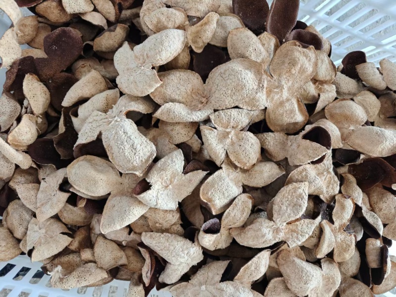 新会陈皮纯干仓老陈皮