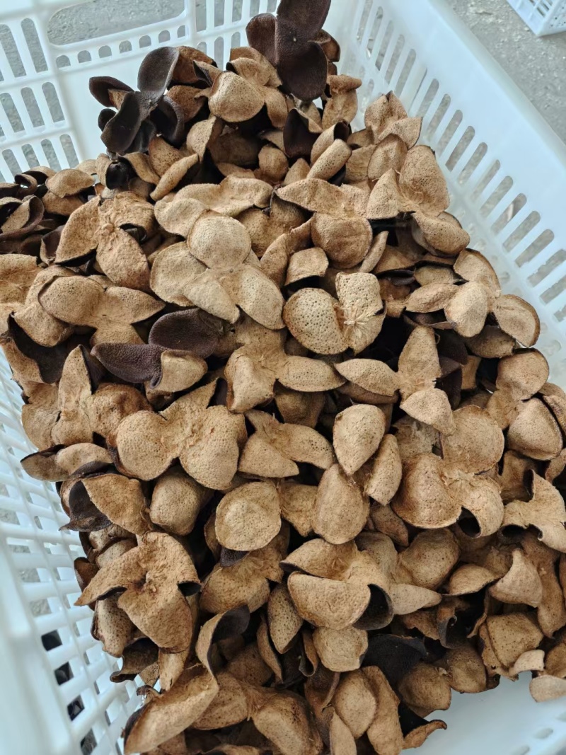 新会陈皮纯干仓老陈皮