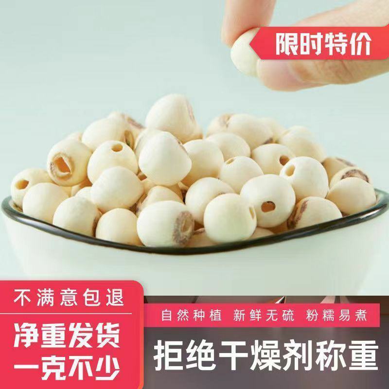新莲上市正宗莲子干货无硫***白莲子无芯湘潭去皮白莲无干