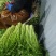 水芹菜