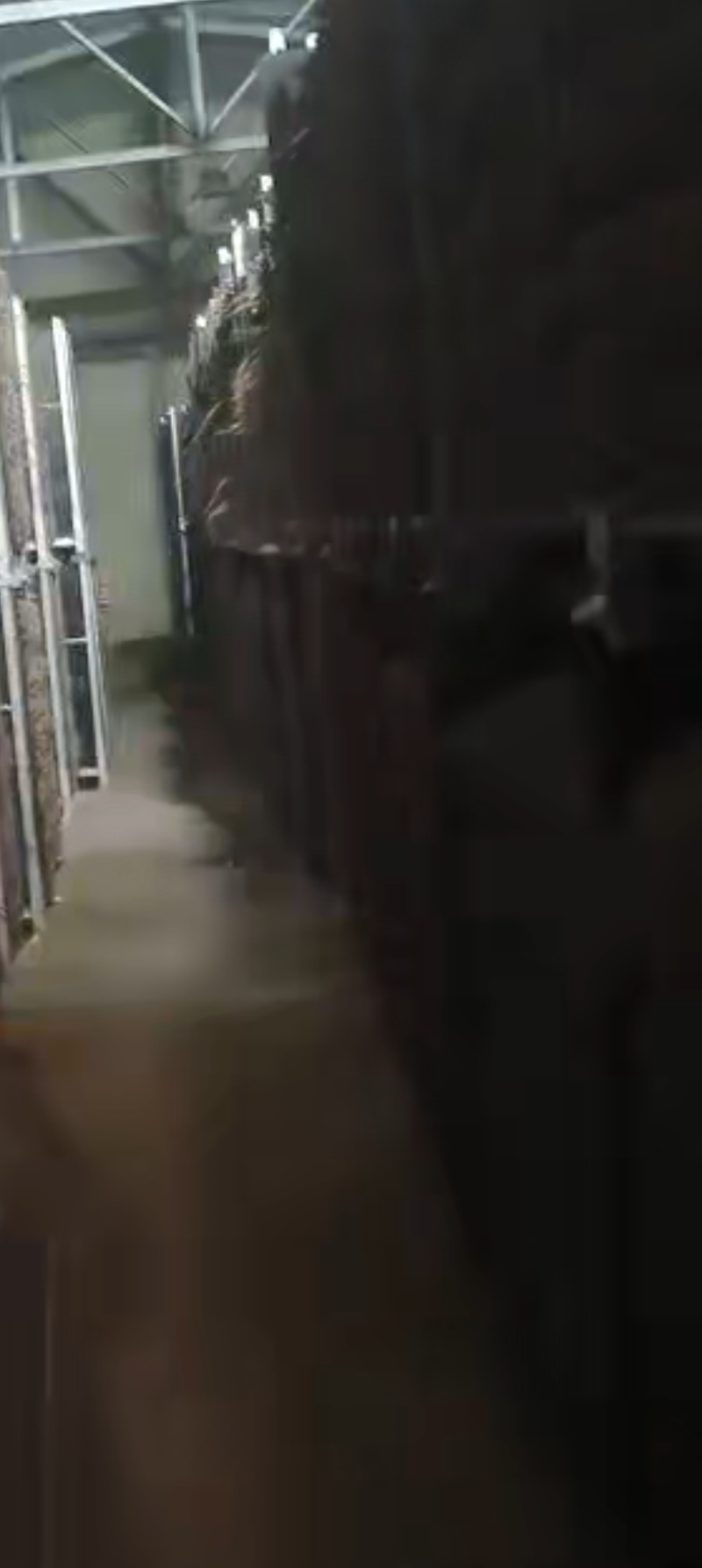 蔬菜货架，冷库货架，山药货架