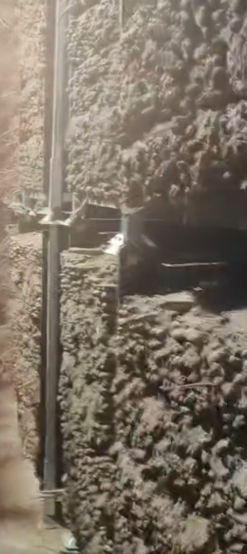 蔬菜货架，冷库货架，山药货架