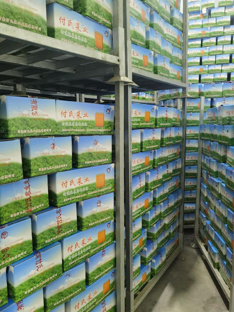 蔬菜货架，冷库货架，山药货架