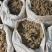 艾绒干货各种规格净货1公斤起包邮