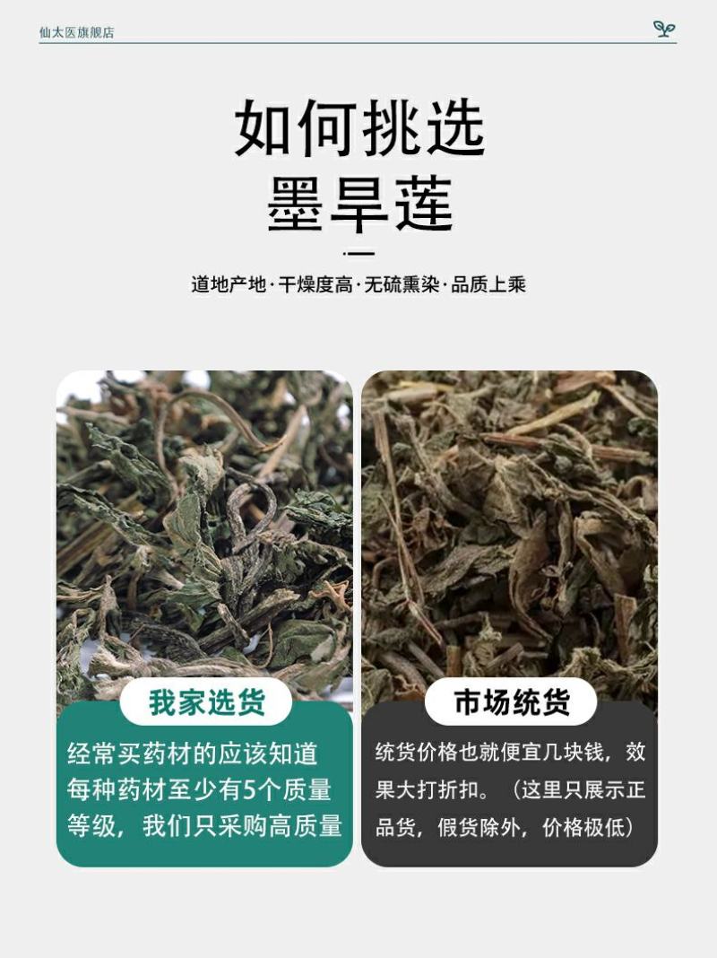 中药材旱莲草批发各种中草药墨旱莲常年大货产地直供量大