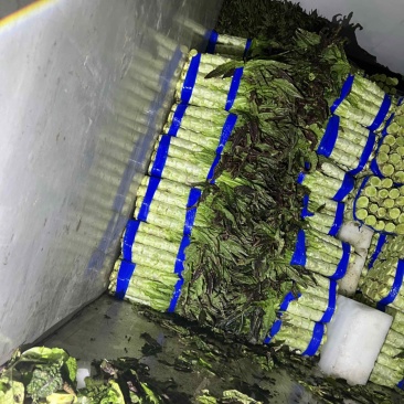 （精品）莴苣产地直供电商，商超，市场量大从优