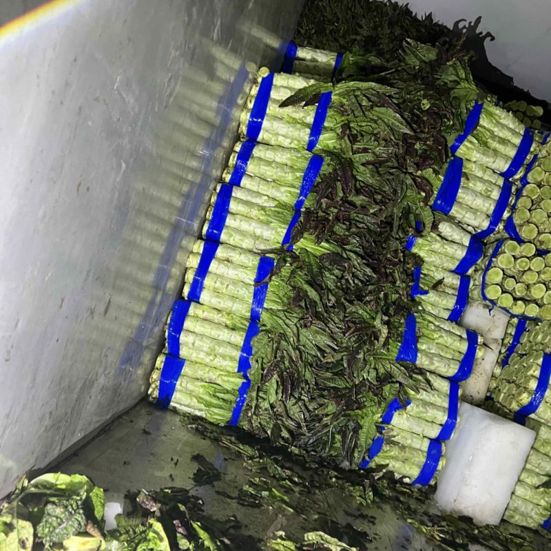 （精品）莴苣产地直供电商，商超，市场量大从优