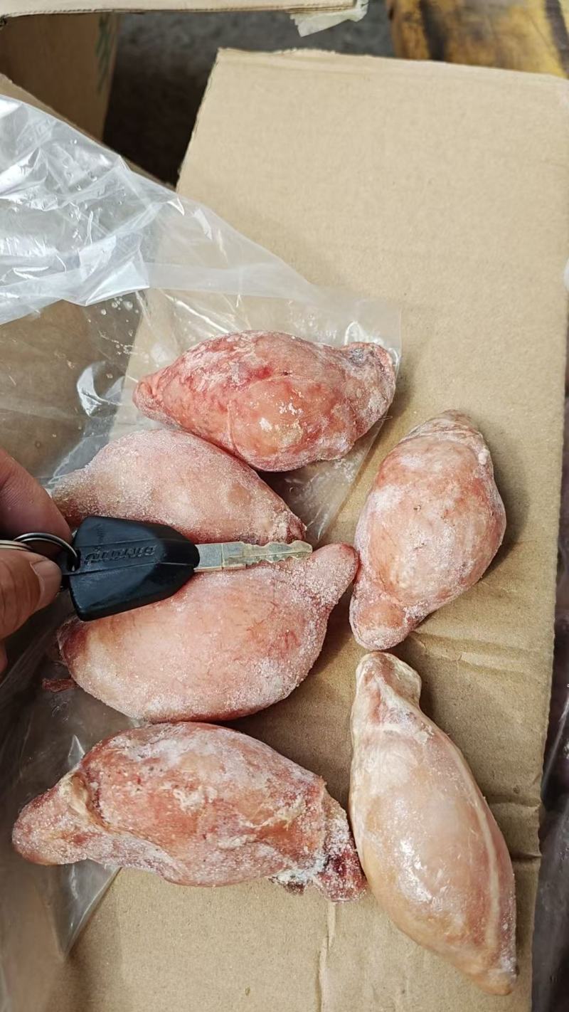 羊蛋羊宝羊外腰