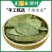 布渣叶中药材新鲜正品叶破布叶包邮麻布叶烂布渣