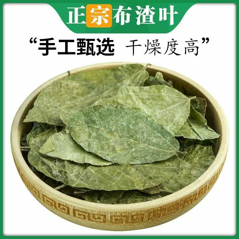 布渣叶中药材新鲜正品叶破布叶包邮麻布叶烂布渣