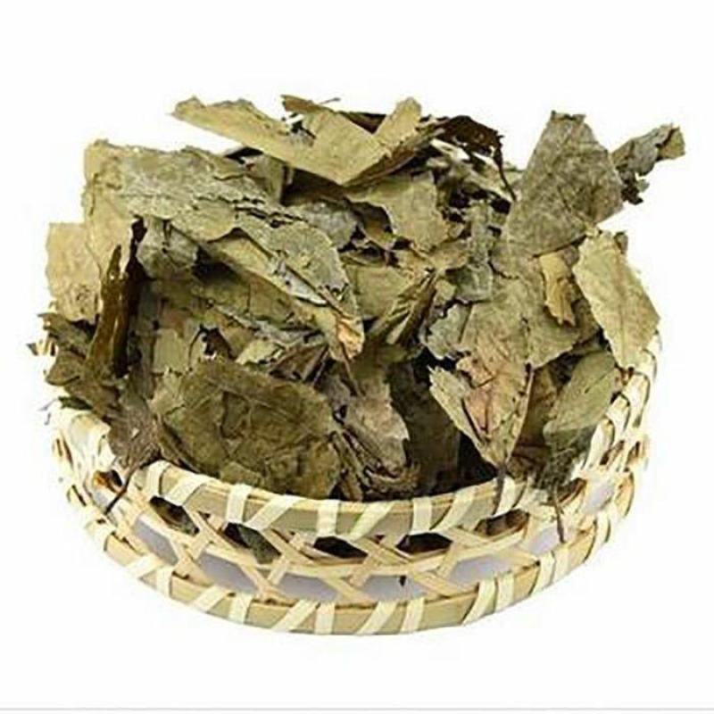布渣叶中药材新鲜正品叶破布叶包邮麻布叶烂布渣