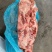 护心肉，一件代发，量大从优，有感兴趣的老板欢迎光临！