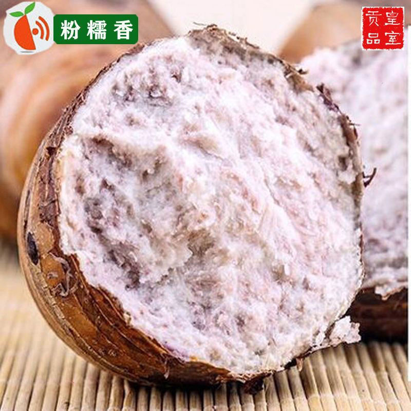 广西贺州当季节新鲜芋头正宗认准贺州产地直发紫藤香芋新鲜槟
