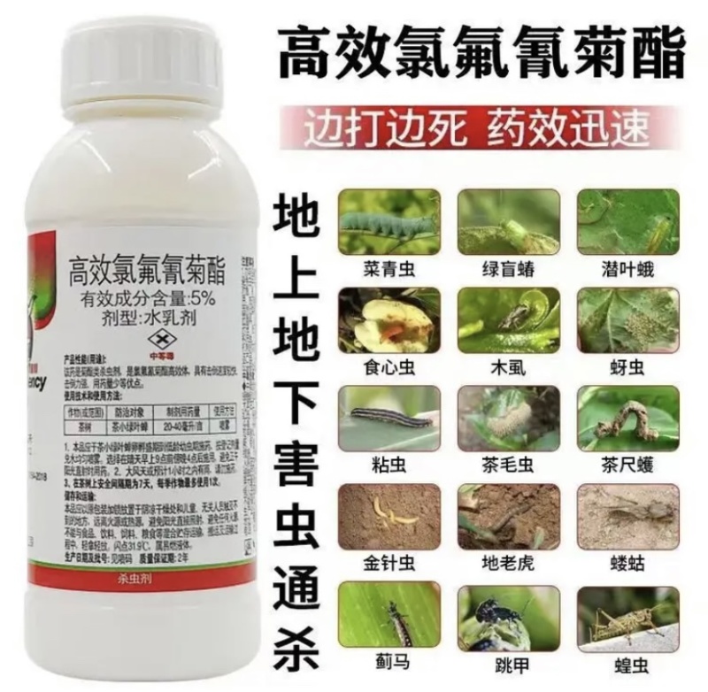 5%高效氯氟氰菊酯功夫杀虫剂青虫地下害虫