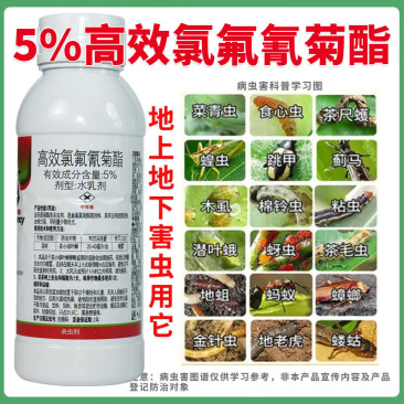 5%高效氯氟氰菊酯功夫杀虫剂青虫地下害虫