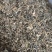 无沙无尘梅干菜香味浓郁