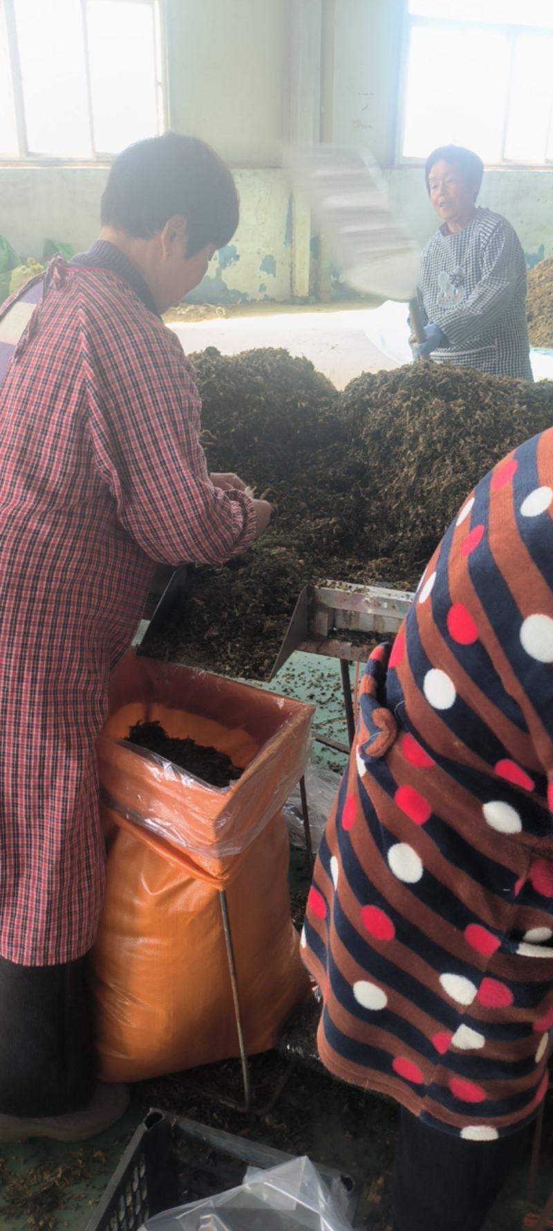 无沙无尘梅干菜香味浓郁