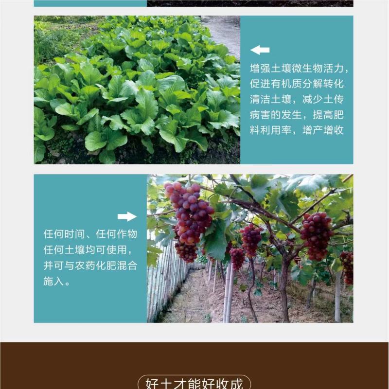 松土菌微生物肥料疏松土壤改良盐碱肥料厂家直销量大从优