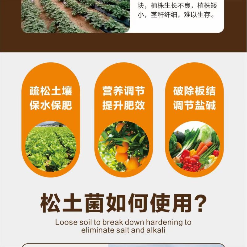 松土菌微生物肥料疏松土壤改良盐碱肥料厂家直销量大从优