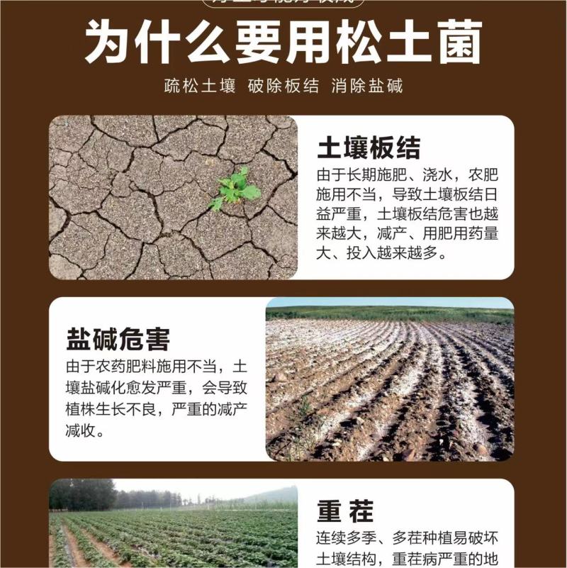 松土菌微生物肥料疏松土壤改良盐碱肥料厂家直销量大从优