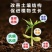 松土菌微生物肥料疏松土壤改良盐碱肥料厂家直销量大从优