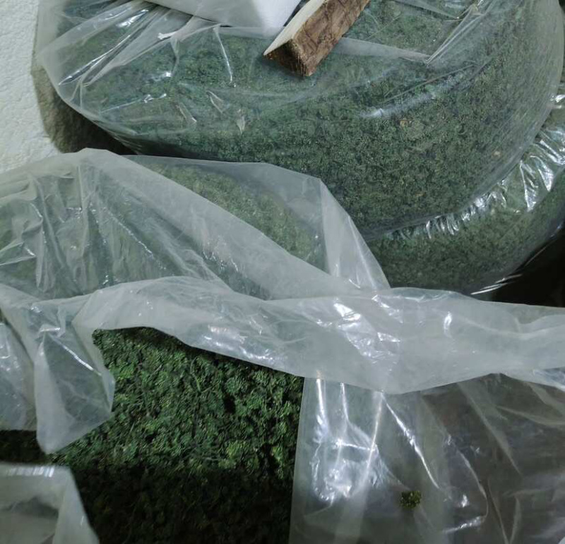 人参花东北长白山批发产地发货一手货源产品可卖