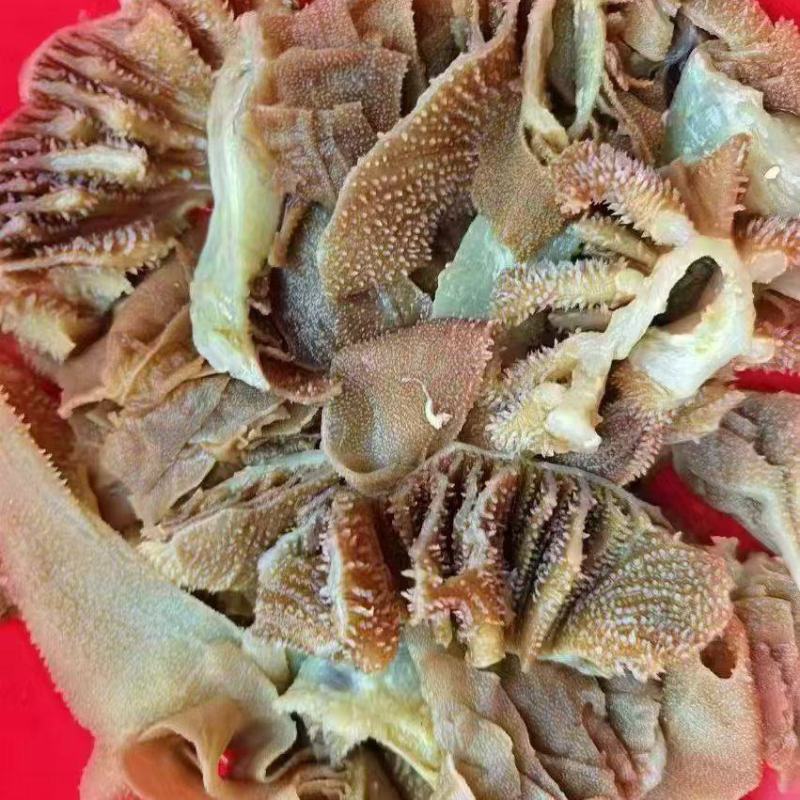大块碎毛肚