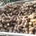 毛芋头山东8520芋头牛奶芋头商超电商代收代发全