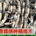 36号太空莲藕苗基地直发，规格齐全，提供技术指导欢迎电联