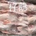 仔鹅