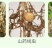 线令微生物菌肥全水溶冲施肥防治根结线虫免费技术指导