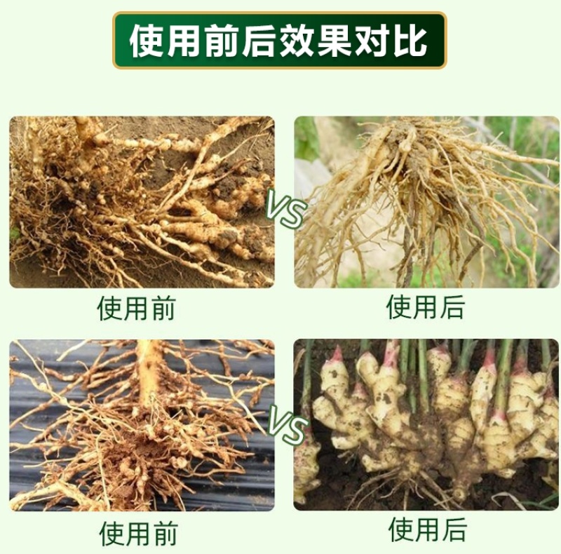 线令微生物菌肥全水溶冲施肥防治根结线虫免费技术指导