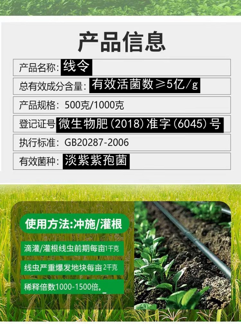 线令微生物菌肥全水溶冲施肥防治根结线虫免费技术指导