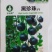 黑番茄种子-产量高果皮较薄含糖高富含丰富花青素