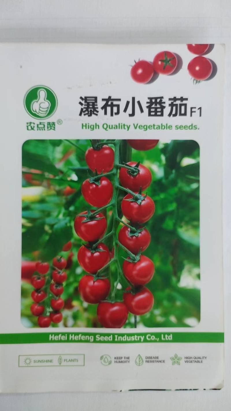 黑番茄种子-产量高果皮较薄含糖高富含丰富花青素