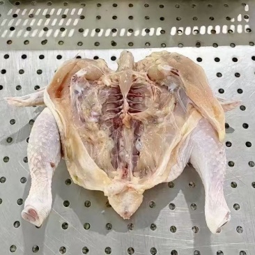 西装鸡